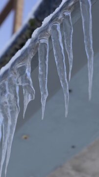 Clear icicles hang from a metal roof edge while slowly melting and dripping water in cold winter weather. Concept of seasonal change and temperature rising during a thaw.