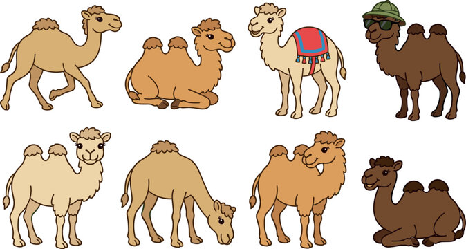 Desert camel illustrations collection with adorable single and double hump animals sitting eating and wearing colorful saddle blanket for kids nursery prints