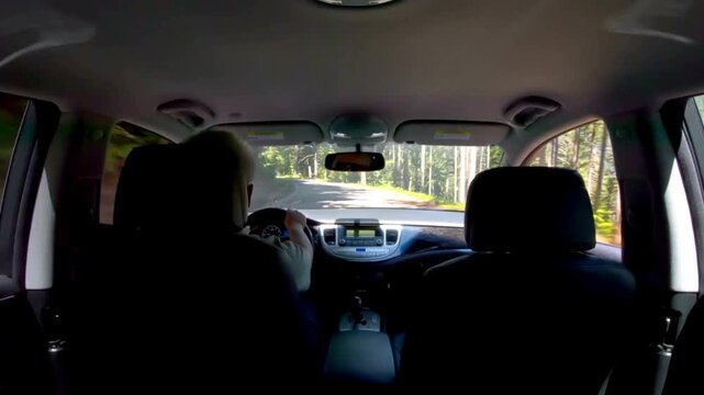 Inside View of a Car Driving on a Forest Road