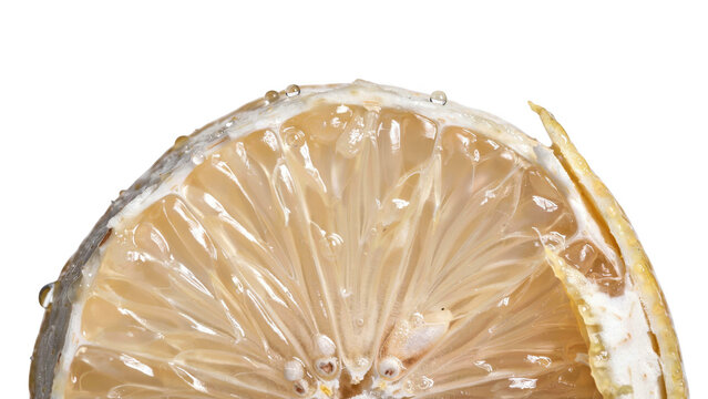 Extreme macro close-up of a fresh lemon slice segment showing translucent juice vesicles and rind texture isolated on a black background