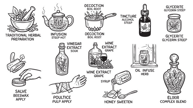 Herbal medicine preparation methods collection with infusion decoction and tincture.