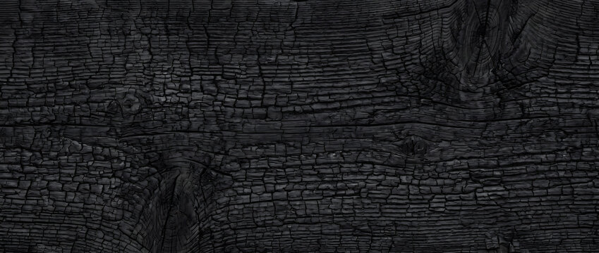 Charred wood texture with deep cracked burned timber seamless black carbon surface background