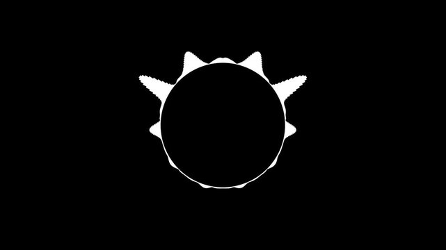 White digital audio spectrum circle with animated  lines, responsive waveform motion and minimalist sound visualization effects on black screen background 4k...