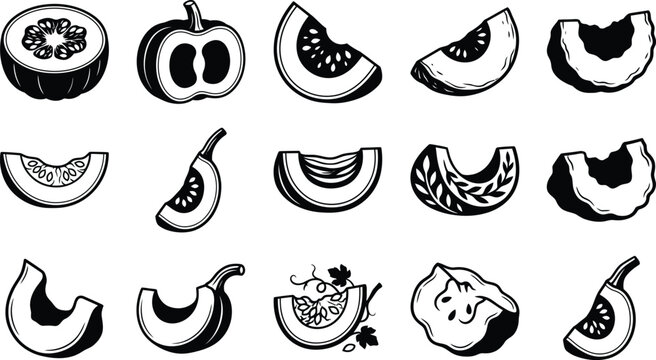 Pumpkin Slice Vector Collection Black and White Botanical Illustration Set
