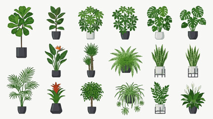 Modern Collection of 15 Stylish Indoor Houseplants in Various Pots for Contemporary Home Decor with high quality professional line art symbols for modern creative design and digital branding projects © jajat