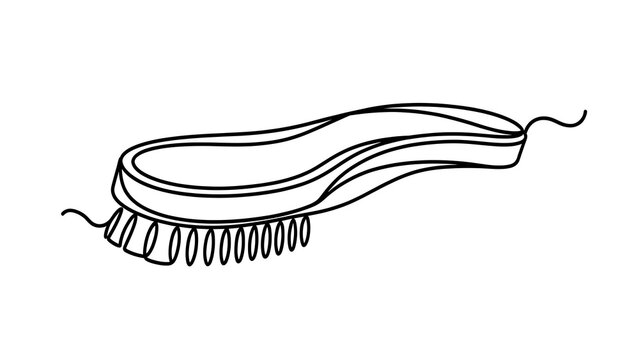 Bacterium illustration on white background.