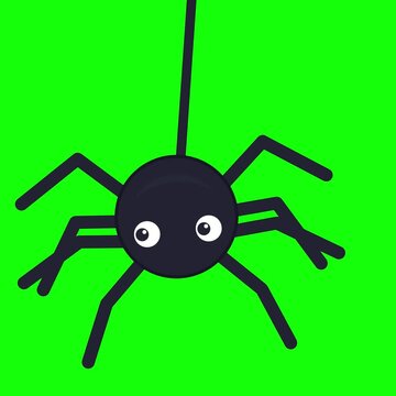 Minimal Spider Crawling Motion Seamless Halloween Loop