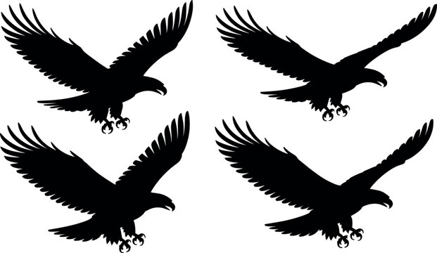 Set of four flying eagle black vector silhouettes with wings spread wide and sharp talons ready for hunting and striking