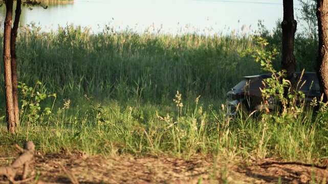 black crossover car drives by in the background in nature. Focus on the grass, the car is in blur