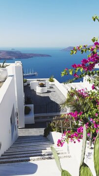 White architecture in Santorini island, Greece. Beautiful terrace with blooming pink flowers. Blue sea and the blue sky at sunny day. Travel and summer vacation concept. Vertical video
