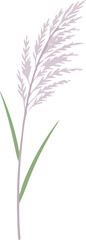 Obraz premium Single purple grass stem.