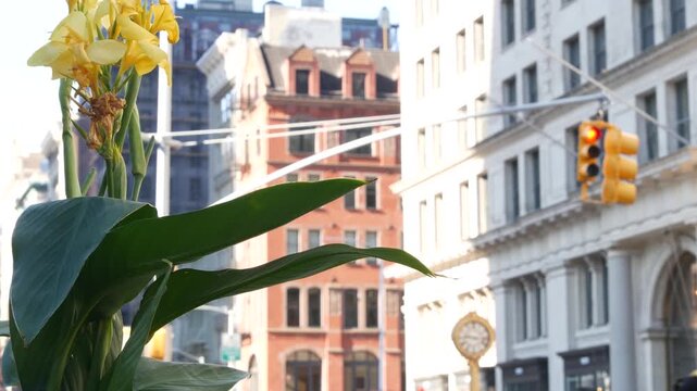 New York City Manhattan Midtown, United States of America. Street Clock on Broadway in Flatiron district near Madison Square Park. 5 fifth avenue Nomad area. Iconic golden clock. Autumn fall flowers.