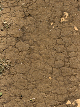 dry cracked earth background daytime 
