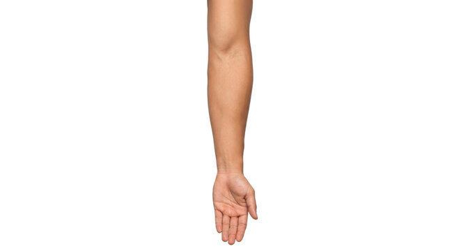 Human arm and hand isolated on white background, showing skin texture and details