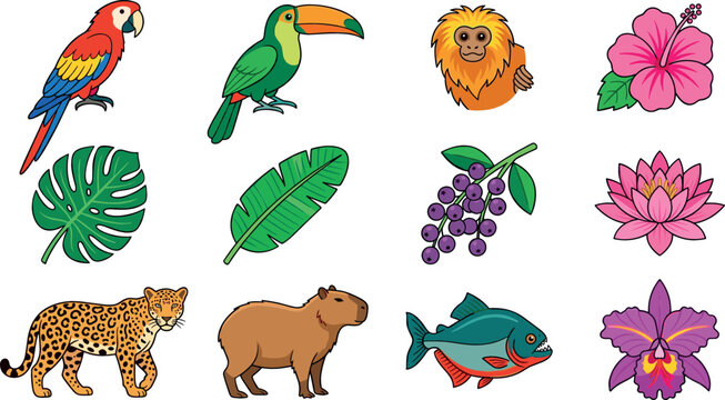 Amazon rainforest tropical animals and flowers vector collection with isolated jaguar capybara parrot toucan monkey palm leaves icons set for children illustration