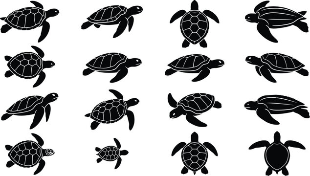 Set of black silhouette turtles, tortoise in various poses and views isolated on transparent background.