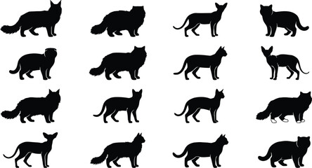 Fototapeta premium Collection of cat silhouettes isolated on transparent background for various design animal projects.