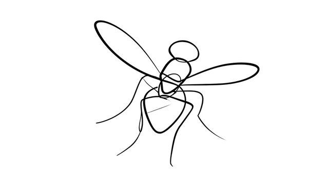 Minimalist fly line art on white background.