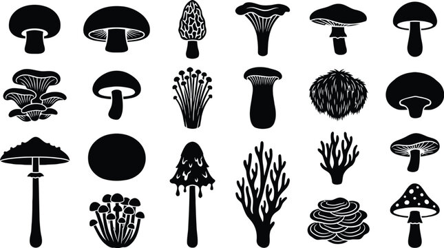 Edible and poisonous mushroom silhouettes set including champignon morel chanterelle and oyster fungi.