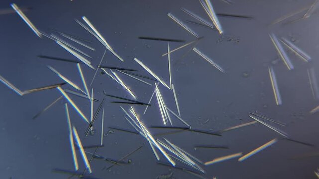 Calcium oxide crystals under polarized light microscope