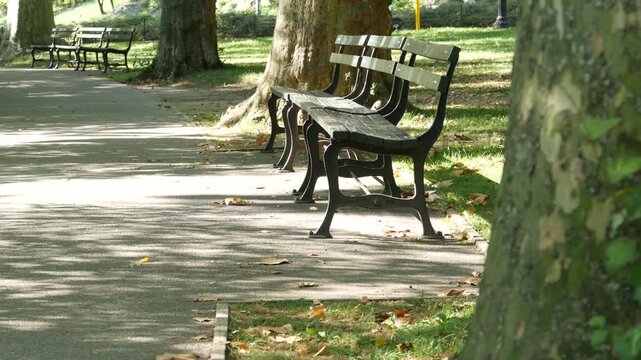Wooden bench in Central Park of New York City, United States. Green oasis in Manhattan, USA. Defocused greenery. Shadow in public park on summer or fall day.
