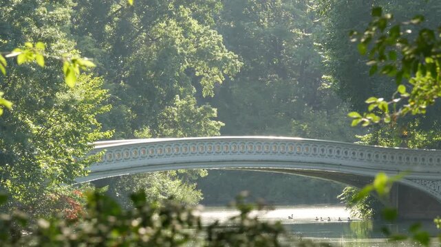 New York City Central Park nature oasis. Bow Bridge and lake in summer day, United States. Pond water and greenery in morning light. Autumn fall leaves and Manhattan architecture landmark of NYC, USA.