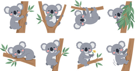 Cute koala vector illustration set with cartoon Australian animal characters climbing tree sleeping and eating green eucalyptus leaves on branches © Mdjony