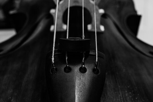 Black and white close up shot of a double bass tailpiece and bridge elements