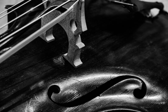 Black and white close up shot of a double bass tailpiece and bridge elements