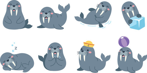 Cute walrus vector illustration set with cartoon sea lion characters showing funny activities like sleeping swimming and playing with ball © Mdjony
