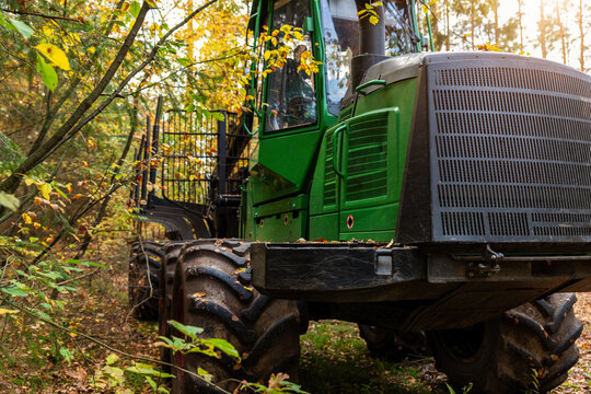 Heavy forestry machine with muddy tires, crane, grapple, and metal frame stands on autumn woodland trail. Logging equipment, fallen leaves, and forest foliage suggest timber work in rustic nature