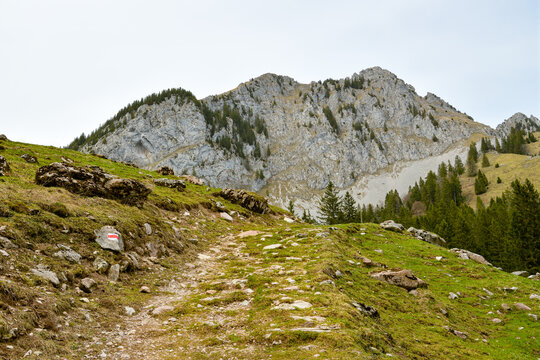 Stony hiking trail below a rugged limestone peak