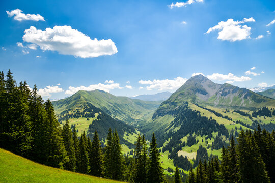 Forested alpine valley beneath a rocky peak