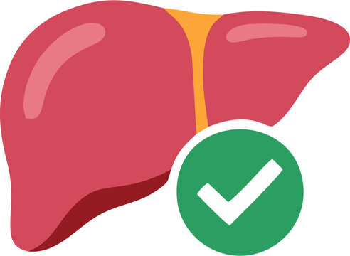 Human Liver Anatomy with Checkmark World Hepatitis Day Icon