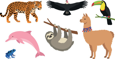 South American animals vector set featuring cartoon jaguar, llama, sloth, toucan, condor, pink river dolphin, and blue poison dart frog on white background. © Mdjony