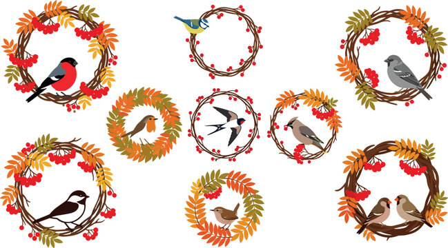 Winter bird wreaths collection with bullfinch sparrow robin and blue tit sitting inside rustic wooden branch frames flat vector illustration graphic design elements.