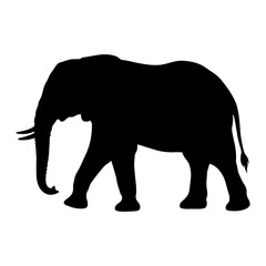 Fototapeta premium Black elephant silhouette, elephant icon, animal symbol, wildlife graphic isolated on White Background