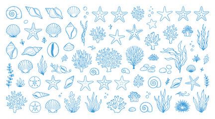 Blue hand drawn doodle set of sea creatures starfish shells and coral reef elements isolated on a white background for design with collection hand Isomatic website template © Meizan 