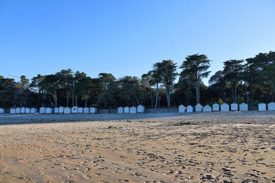 plage des dames