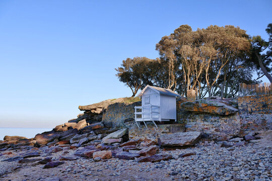 plage des dames