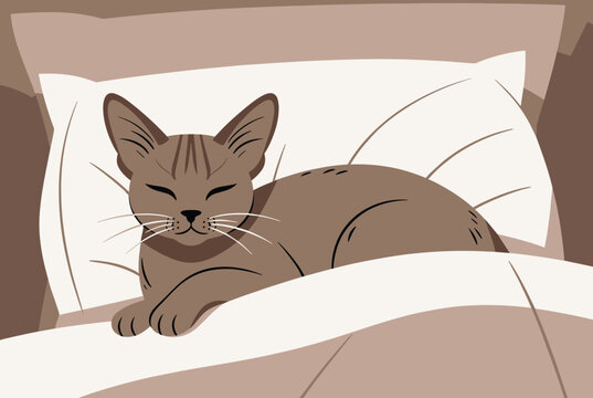 Sweet brown tabby cat sleeping cozy in a comfortable bed tucked under a blanket with its head resting on a pillow.