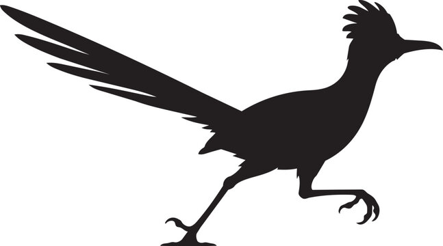 roadrunner bird silhouette running wildlife vector illustration