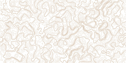Brown topographic map lines on white background  geographic illustration © MD.HUZZATULLAHISLAM