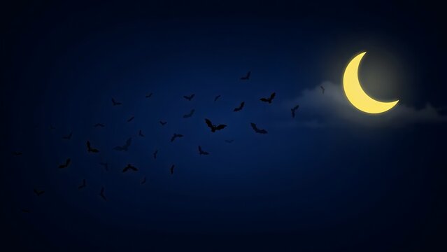 A diverse collection of Halloween and spooky-themed graphic assets, illustrations, and stock photographs. This curation features classic holiday icons including carved pumpkins (jack-o'-lanterns), bla