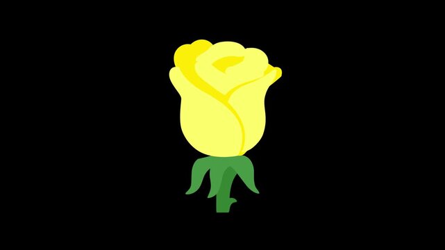 Minimalist Animated Yellow Rose Bud Shaking on Black Background Vector 4K Loop