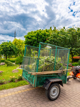 Garden trailer parked on a sunny day. A garden trailer filled with plants is parked beside a green area with trees and blue sky.