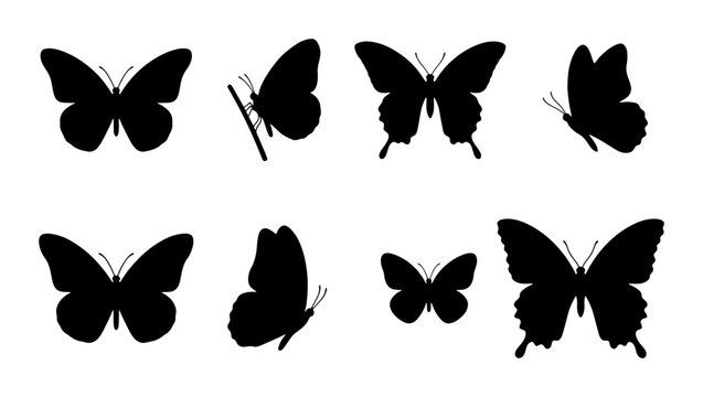 Butterfly Silhouettes Collection, Insect Icons, Winged Creatures, Nature Graphics