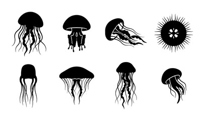 Black Jellyfish Silhouettes, Marine Life Vector Icons, Ocean Creatures Collection © Arif