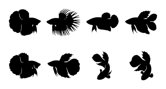 Betta Fish Silhouettes, Siamese Fighting Fish Icons, Aquatic Pet Vector Set, Aquarium Life Graphics