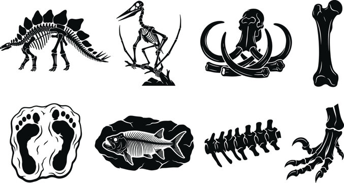 Dinosaur skeletons and prehistoric fossils black silhouette vector icon set isolated on a clean white background